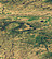 5 Gigapixel image tile