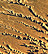 5 Gigapixel image tile