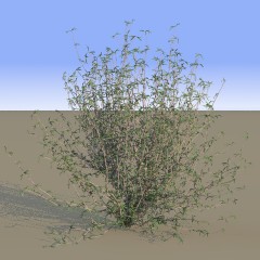 tree sample (17k)