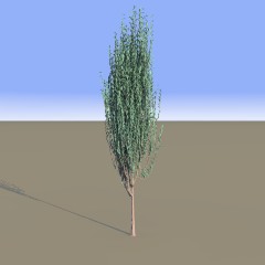 tree sample (7k)