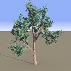tree sample (15k)