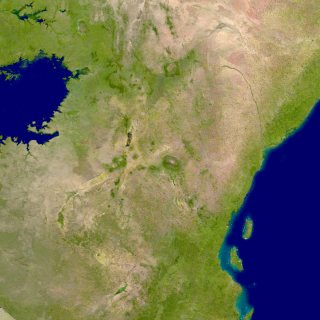 MODIS image