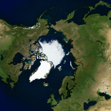 Arktis mit Standard-Meereis-Darstellung
