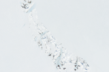 Transantarctic mountains with shading compensation