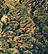 5 Gigapixel image tile