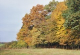 Braunschweiger Umgebung im Herbst