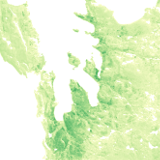 Spitzbergen-Vegetationskarte Beispielausschnitt 2